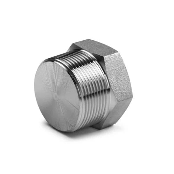 Stainless Steel Pipe Fitting Hex Plug Casting Parts for Connection