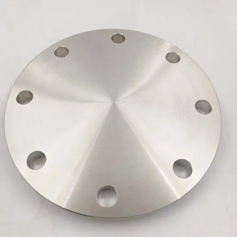 Stainless Steel Flange En1092 Dn10-dn1200 Pn16 Rf 304 Blind Flange